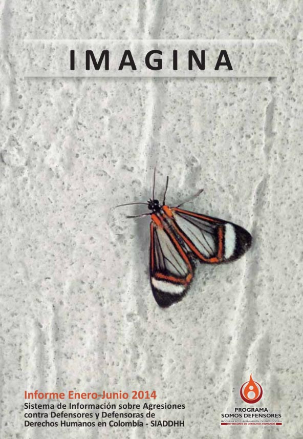 INFORME SEMESTRAL ENERO – JUNIO 2014 | IMAGINA