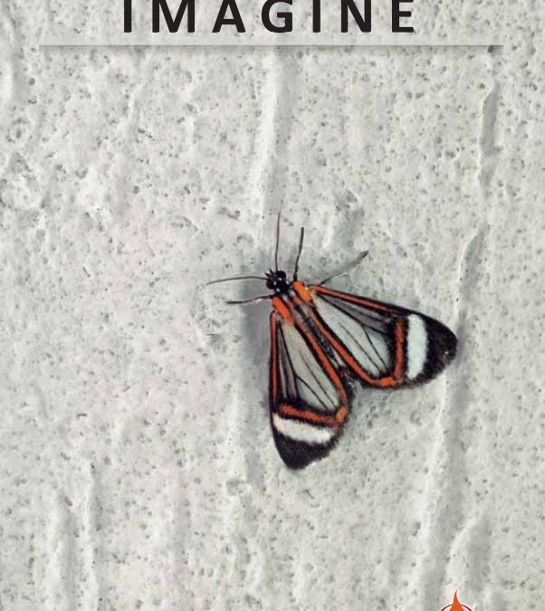 SEMI-ANNUAL REPORT | JANUARY – JUNE 2014 | IMAGINE