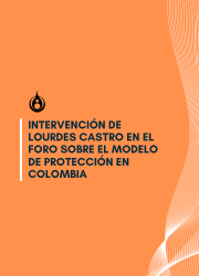 Intervención de Lourdes Castro en el foro sobre el modelo de protección en Colombia
