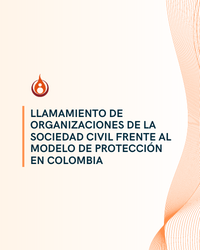 LLAMAMIENTO DE ORGANIZACIONES DE LA SOCIEDAD CIVIL FRENTE AL MODELO DE PROTECCIÓN EN COLOMBIA