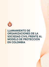 LLAMAMIENTO DE ORGANIZACIONES DE LA SOCIEDAD CIVIL FRENTE AL MODELO DE PROTECCIÓN EN COLOMBIA