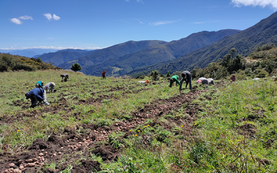 Una historia de lucha por la autonomía campesina