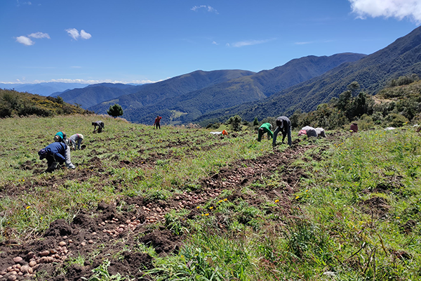 Una historia de lucha por la autonomía campesina