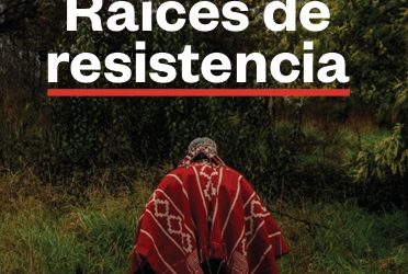 Colombia es el país con el mayor número de asesinatos y desapariciones de personas defensoras de la tierra y el medio ambiente a nivel mundial desde 2012.